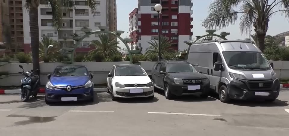 12 بارون مخدرات في قبضة الدرك الجزائري