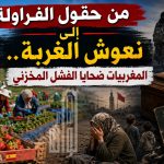 من حقول الفراولة إلى نعوش الغربة.. المغربيات ضحايا الفشل المخزني