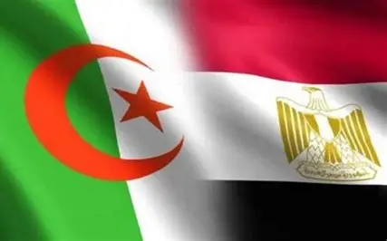 الجزائر و مصر تبحثان عن سبل تعاون وشراكات جديدة  في مجالات العمل والضمان الإجتماعي