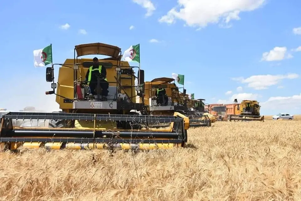 President Tebboune Highlights Growing Awareness of Algerian Citizens Amid Challenges