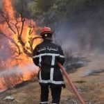 حرائق الغطاء النباتي …تدخلات مكثفة للحماية المدنية عبر 14 ولاية جزائرية