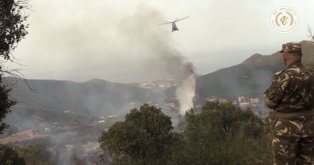 Algeria surpasses France and Spain in mastering wildfires in record time!
