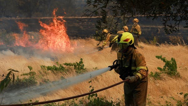 Algeria surpasses France and Spain in mastering wildfires in record time!