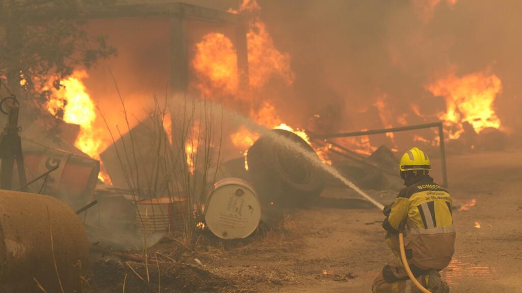 Algeria surpasses France and Spain in mastering wildfires in record time!