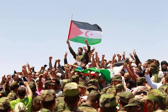 إيرلندا تجدد تمسكها بحق الشعب الصحراوي في تقرير المصير