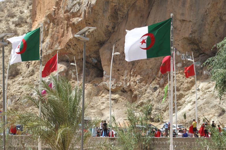 الجزائريون يطالبون بترحيل “المراركة “.. ما القصة ؟