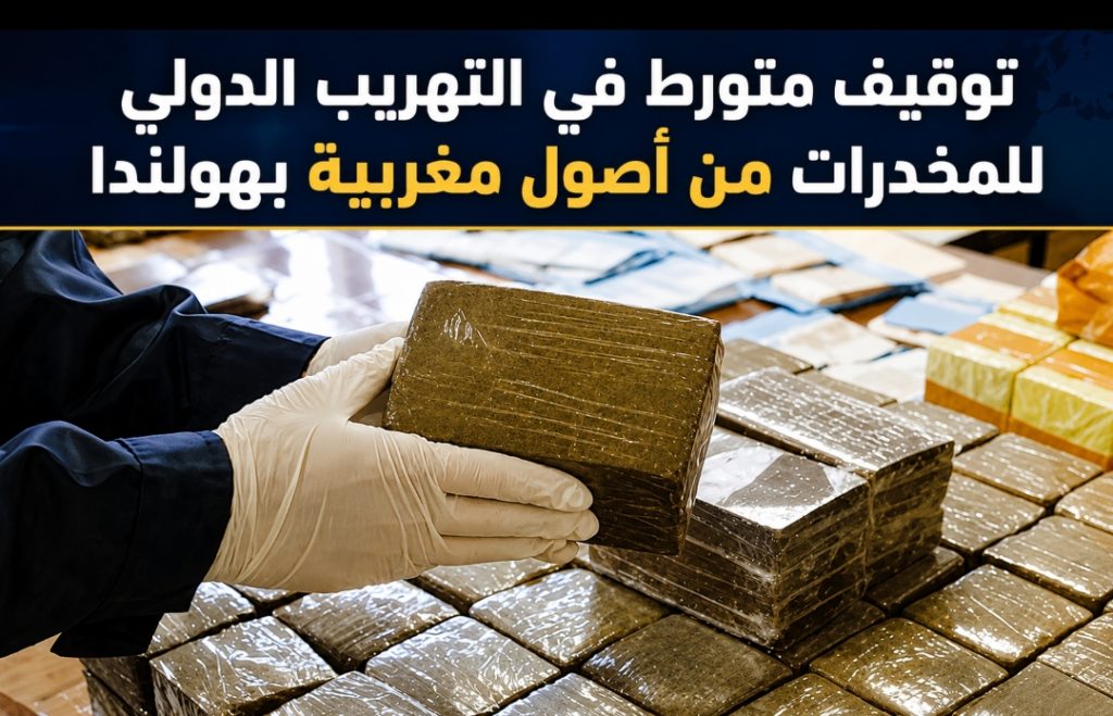 توقيف متورط في التهريب الدولي للمخدرات من أصول مغربية بهولندا