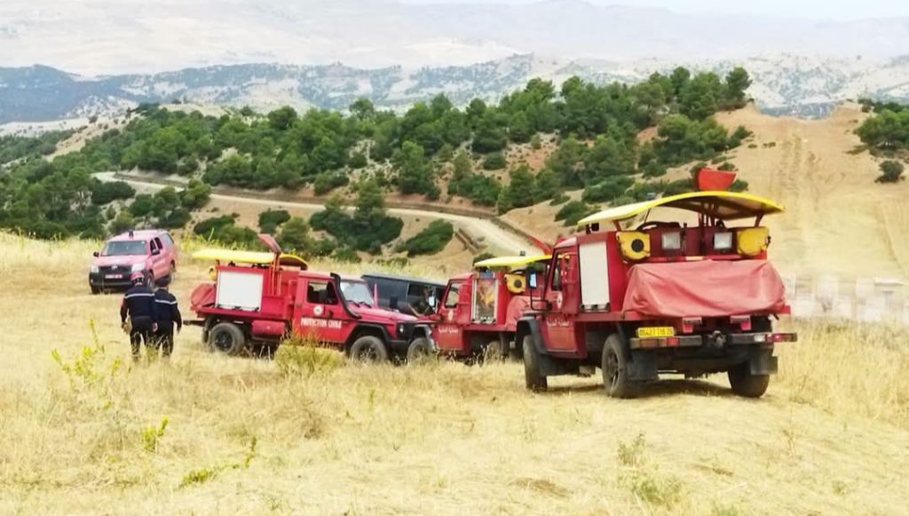 تسجيل 34 حريقًا عبر عدة ولايات جزائرية و الحماية المدنية تواصل عمليات الإخماد