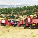 تسجيل 34 حريقًا عبر عدة ولايات جزائرية و الحماية المدنية تواصل عمليات الإخماد