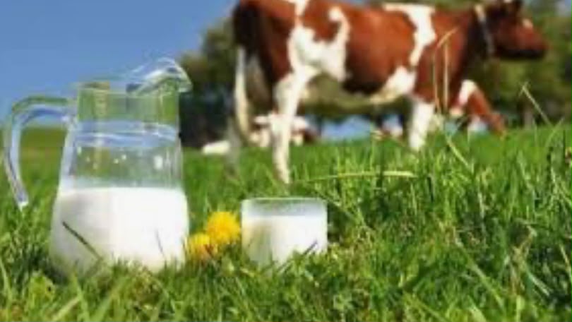 Sécurité alimentaire : la trajectoire de l’Algérie saluée par un rapport international