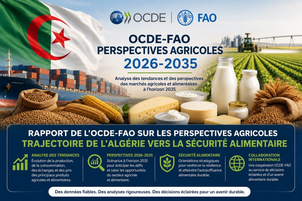 Sécurité alimentaire : la trajectoire de l’Algérie saluée par un rapport international