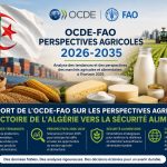 Sécurité alimentaire : la trajectoire de l’Algérie saluée par un rapport international