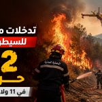 تدخلات متواصلة للسيطرة على 12 حريقًا في 11 ولاية جزائرية