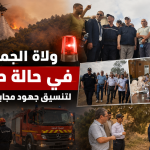 ولاة الجمهورية في حالة طوارئ  لتنسيق جهود مجابهة الحرائق