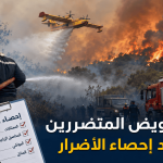 سعيود يكشف موعد تعويض المتضررين من حرائق الغابات