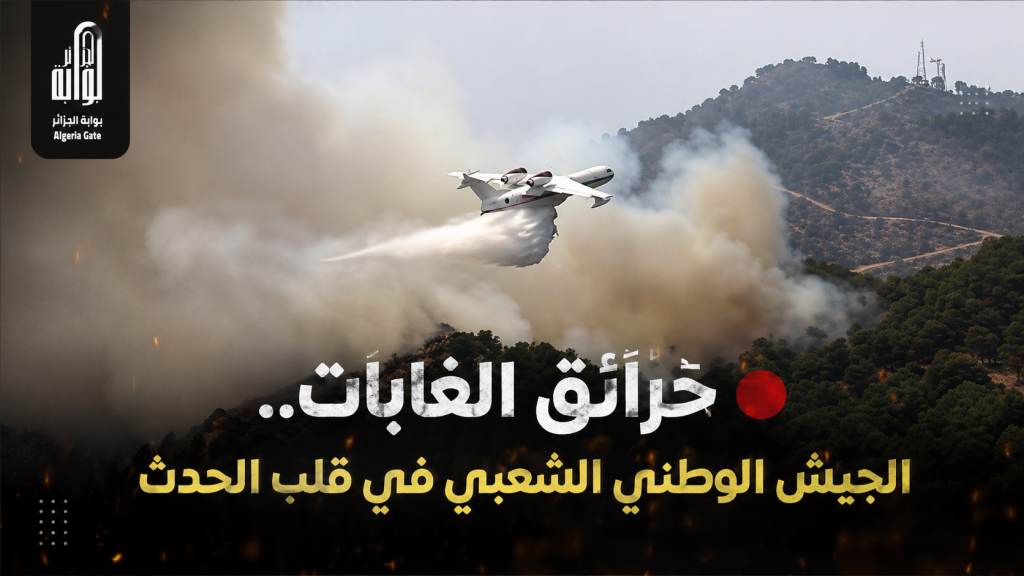 حرائق الغابات..الجيش الوطني الشعبي في قلب الحدث
