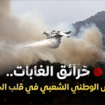 حرائق الغابات..الجيش الوطني الشعبي في قلب الحدث