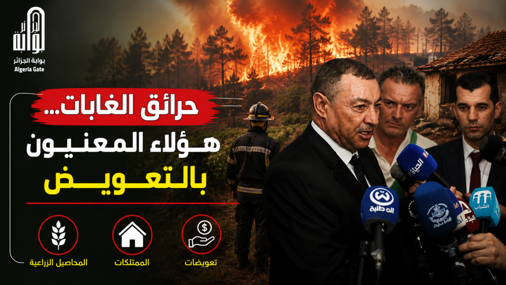 حرائق الغابات.. هؤلاء المعنيون بالتعويض!
