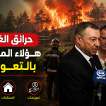 حرائق الغابات.. هؤلاء المعنيون بالتعويض!