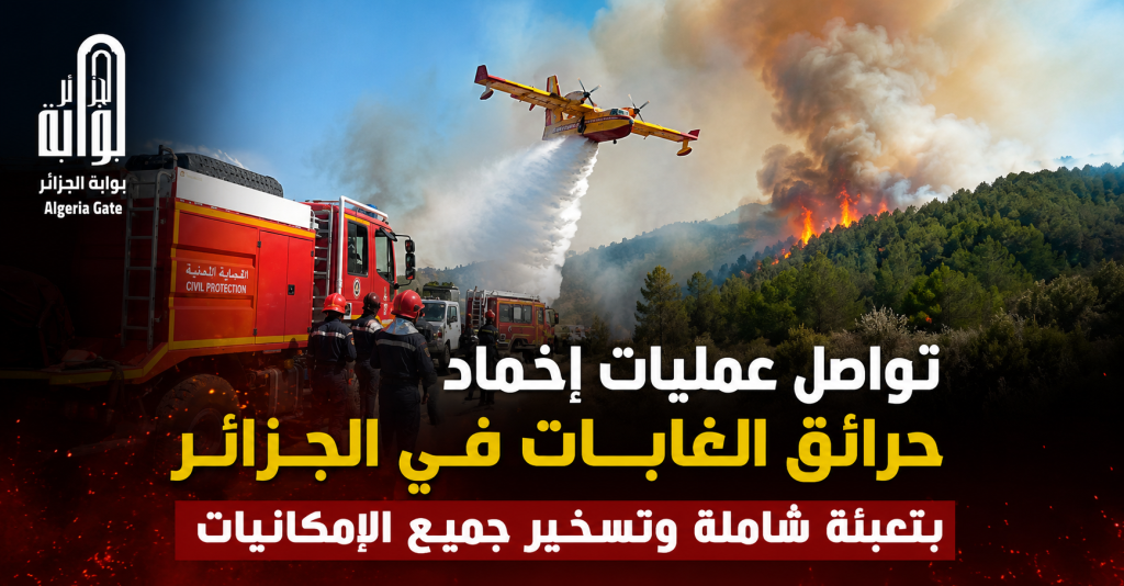 تواصل عمليات إخماد حرائق الغابات في الجزائر بتعبئة شاملة وتسخير جميع الإمكانيات