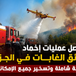 تواصل عمليات إخماد حرائق الغابات في الجزائر بتعبئة شاملة وتسخير جميع الإمكانيات
