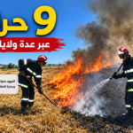 تسجيل 09 حرائق بعدة ولايات جزائرية و الحماية المدنية تتدخل لإخمادها