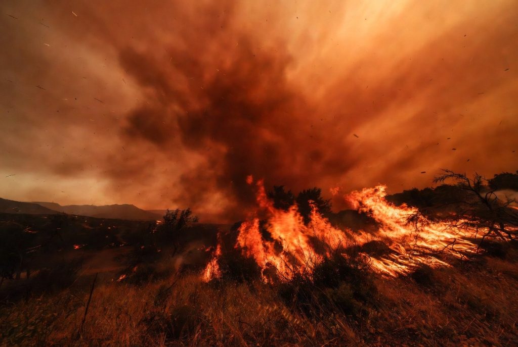 Algeria: 97% of wildfires contained thanks to massive emergency response