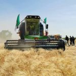 الفاو ترصد موسما زراعيا قويا في الجزائر..