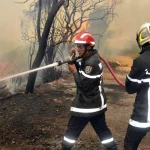 133 حريقًا في يوم واحد.. جهود متواصلة للسيطرة على النيران بعدة ولايات جزائرية