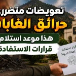 تعويضات متضرري حرائق الغابات.. هذا موعد استلام قرارات الاستفادة
