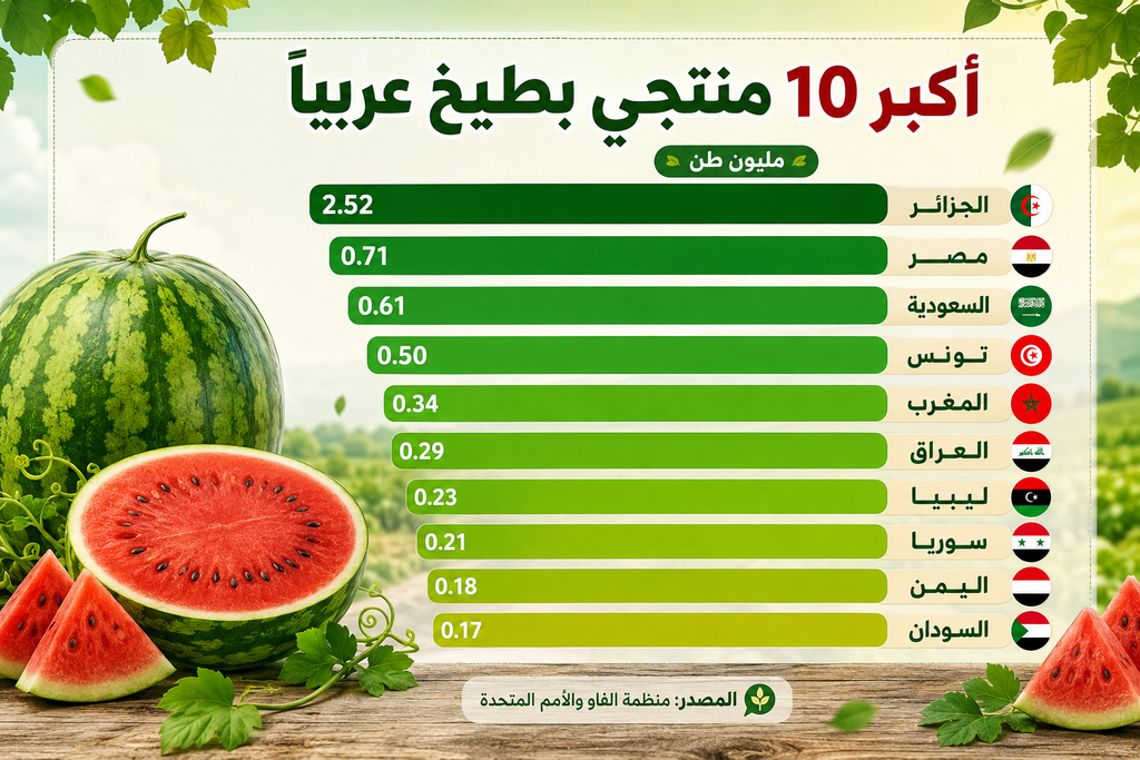 الجزائر.. رابع أكبر منتج للبطيخ في العالم