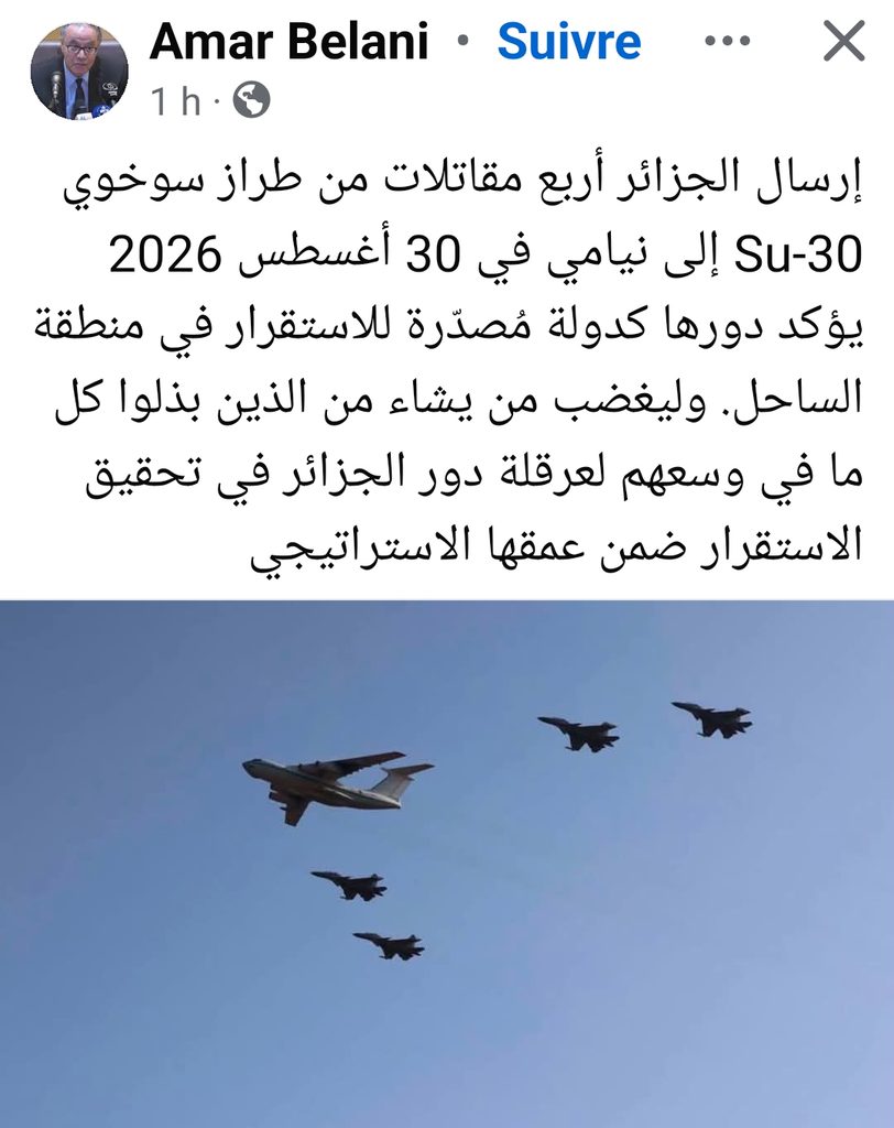 من حماية الحدود إلى استباق التهديدات.. ماذا يعني التحرك الجزائري في النيجر؟