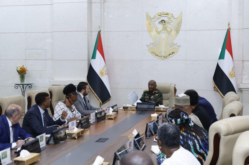 برئاسة الجزائر.. الاتحاد الإفريقي يجدد دعمه لوحدة السودان ويرفض التدخلات الخارجية