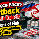 Morocco Faces Setback as Russia Rejects 25 Tons of Fish Over Documentation Issues