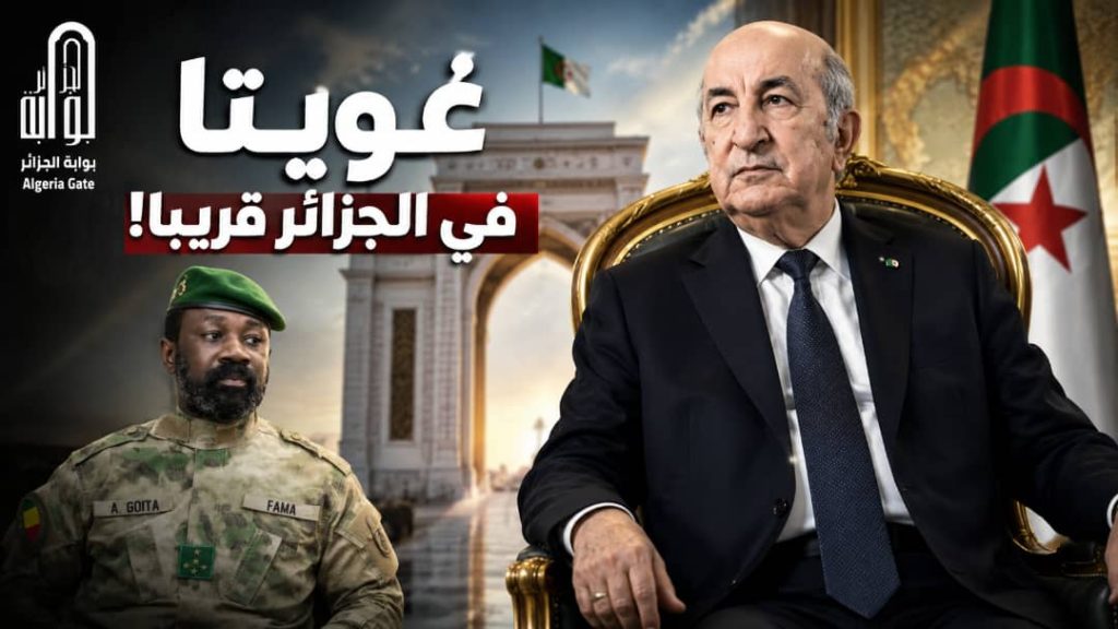 غويتا في الجزائر قريبا!