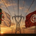 ‬⁩مصدر تونسي: الجزائر ساندت تونس خلال أزمة الكهرباء ولم تتأخر عن الدعم