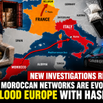 New Investigations Reveal How Moroccan Networks Are Evolving to Flood Europe with Hashish