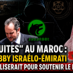 Après les « fuites » qui auraient secoué le Maroc sur les plans sécuritaire et politique, le « lobby israélo-émirati » se mobiliserait pour soutenir le Makhzen