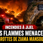 Violents incendies à Jijel : les flammes atteignent les abords des Grottes merveilleuses de Ziama Mansouriah