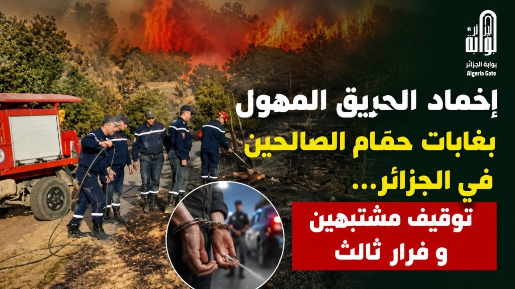 إخماد الحريق المهول بغابات حمام الصالحين في الجزائر…توقيف مشتبهين وفرار ثالث
