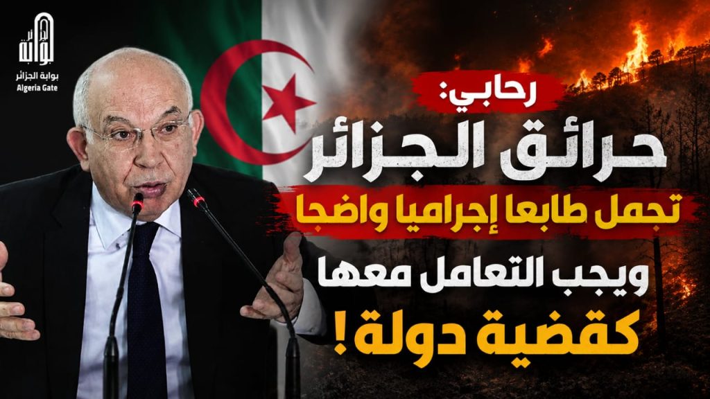 رحابي: حرائق الجزائر تحمل طابعا إجراميا واضحا ويجب التعامل معها كقضية دولة!