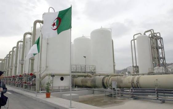 President Tebboune Leads Algeria Toward a $30 Billion Non-Hydrocarbon Economy