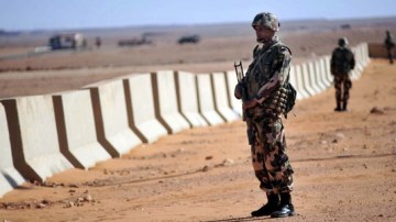الجزائر ومالي تفتحان بوابة الاقتصاد بعد القطيعة.. دعوة مايغا إلى الجزائر تمهد للتجارة والطاقة والربط الحدودي