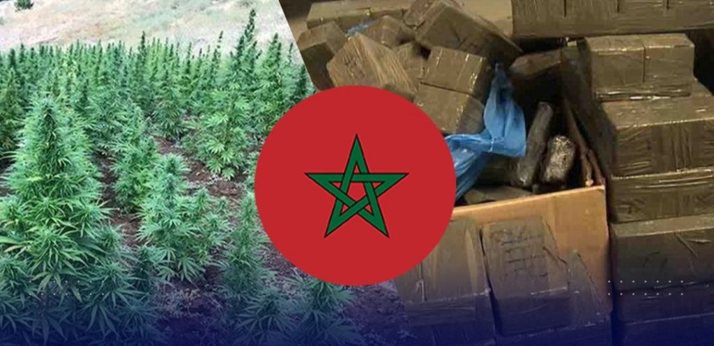 Spanish newspaper Moncloa: Morocco ranks among the world’s largest hashish producers and fuels international drug trafficking