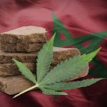 Spanish newspaper Moncloa: Morocco ranks among the world’s largest hashish producers and fuels international drug trafficking