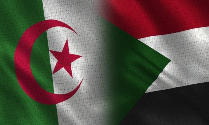 الجزائر تؤكد استعدادها لنقل خبرتها المنجمية إلى السودان