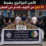 الأمن الجزائري يضبط 61 كلغ من الكيف قادم من المغرب