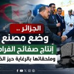 الجزائر ..وضع مصنع إنتاج صفائح الفرامل وملحقاتها بالرغاية حيز الخدمة