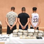 حجز 31 كلغ من الكوكايين بتمنراست