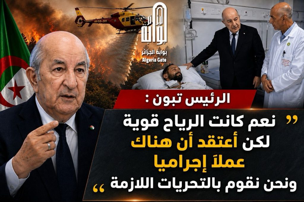 ‏الرئيس تبون: أعتقد أن هناك عملاً إجراميا وراء موجة حرائق الغابات القوية والمتزامنة